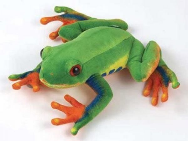 Fiesta Tree Frog (1)72