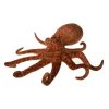 Giant Brown Octopus72